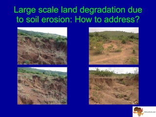A Digitally Integrated Africa Soil Information Service (AfSIS)