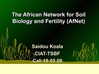 The African Network for Soil Biology and Fertility (AfNet) Saidou Koala CIAT-TSBF Cali 19 05 09 
