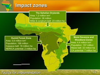 The African Network for Soil Biology and Fertility (AfNet)