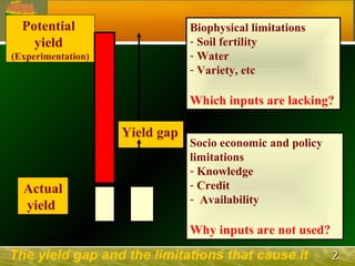 The African Network for Soil Biology and Fertility (AfNet)