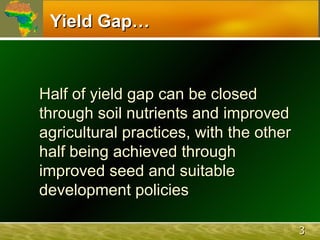 The African Network for Soil Biology and Fertility (AfNet)