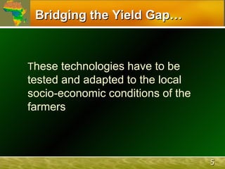 The African Network for Soil Biology and Fertility (AfNet)