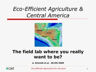 Eco-Efficient Agriculture & Central America The field lab where you really want to be? A. Schmidt et al.  20/05/2009 