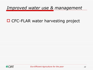 Eco-Efficient Agriculture & Central America