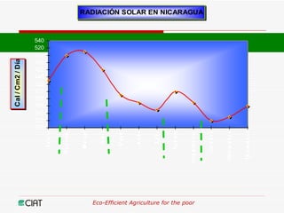 Eco-Efficient Agriculture & Central America
