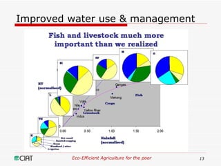 Eco-Efficient Agriculture & Central America