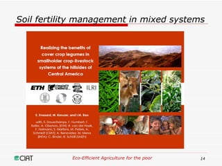 Eco-Efficient Agriculture & Central America