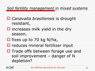 Eco-Efficient Agriculture & Central America