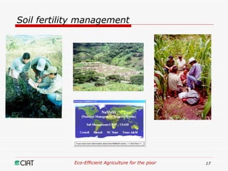 Eco-Efficient Agriculture & Central America