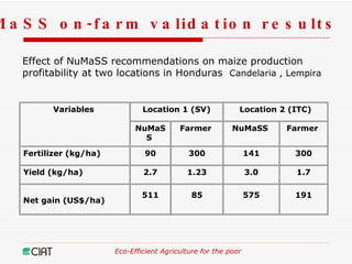 Eco-Efficient Agriculture & Central America