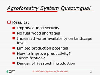 Eco-Efficient Agriculture & Central America
