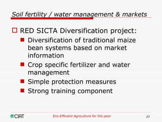 Eco-Efficient Agriculture & Central America