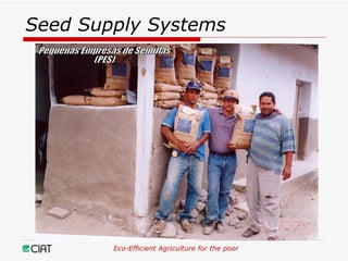 Eco-Efficient Agriculture & Central America