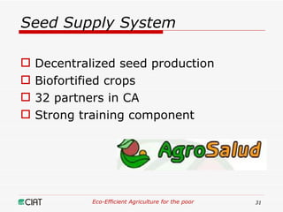 Eco-Efficient Agriculture & Central America
