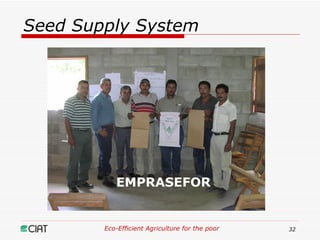 Eco-Efficient Agriculture & Central America