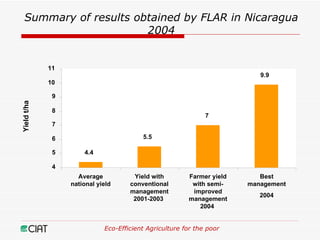 Eco-Efficient Agriculture & Central America