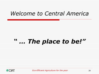 Eco-Efficient Agriculture & Central America