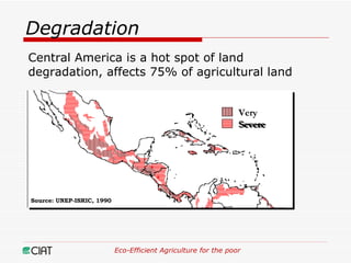 Eco-Efficient Agriculture & Central America