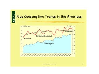 Creating Shared Value for Rice in Latin America and the Caribbean
