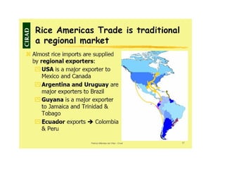 Creating Shared Value for Rice in Latin America and the Caribbean