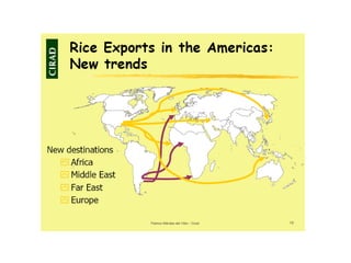 Creating Shared Value for Rice in Latin America and the Caribbean