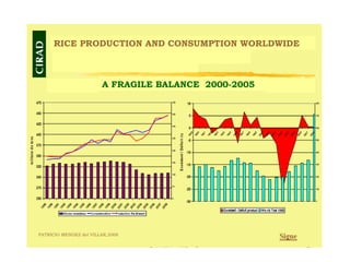 Creating Shared Value for Rice in Latin America and the Caribbean