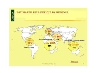 Creating Shared Value for Rice in Latin America and the Caribbean