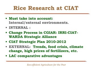 Creating Shared Value for Rice in Latin America and the Caribbean