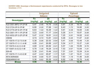 Creating Shared Value for Rice in Latin America and the Caribbean