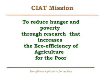 Creating Shared Value for Rice in Latin America and the Caribbean