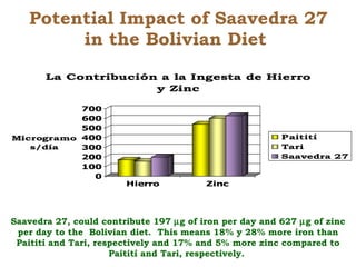Creating Shared Value for Rice in Latin America and the Caribbean