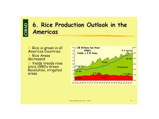 Creating Shared Value for Rice in Latin America and the Caribbean