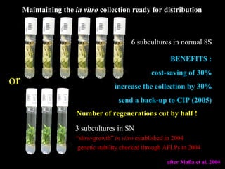 Keeping a Seed of Solutions when Energy and Climate become Unpredictable