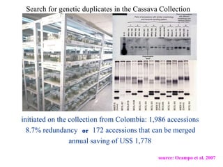 Keeping a Seed of Solutions when Energy and Climate become Unpredictable