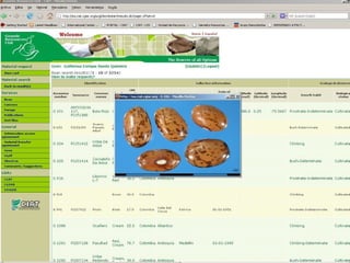 Keeping a Seed of Solutions when Energy and Climate become Unpredictable