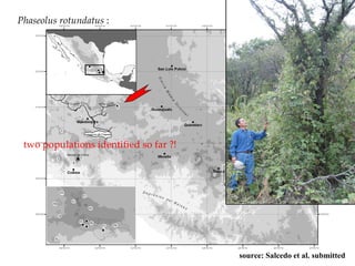 Keeping a Seed of Solutions when Energy and Climate become Unpredictable