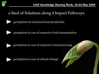 Keeping a Seed of Solutions when Energy and Climate become Unpredictable