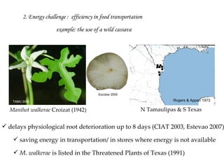 Keeping a Seed of Solutions when Energy and Climate become Unpredictable