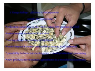 Keeping a Seed of Solutions when Energy and Climate become Unpredictable