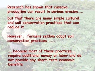 Cassava for sustainable poverty alleviation