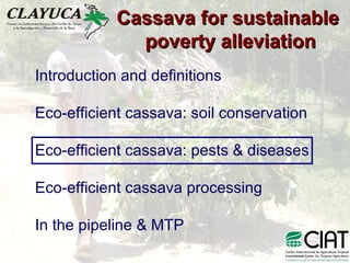 Cassava for sustainable poverty alleviation