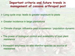 Cassava for sustainable poverty alleviation