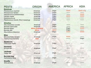 Cassava for sustainable poverty alleviation