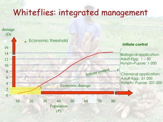Cassava for sustainable poverty alleviation