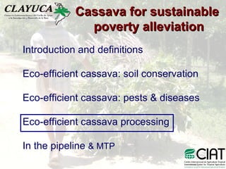 Cassava for sustainable poverty alleviation