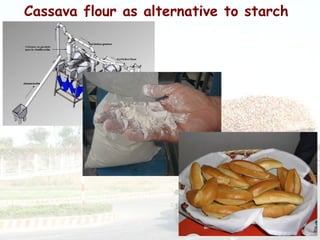 Cassava for sustainable poverty alleviation