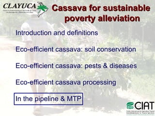 Cassava for sustainable poverty alleviation