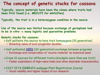 Cassava for sustainable poverty alleviation
