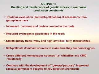 Cassava for sustainable poverty alleviation