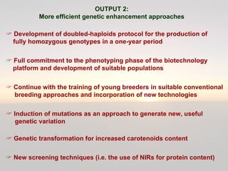 Cassava for sustainable poverty alleviation
